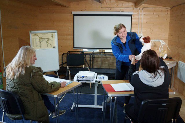 Lecturer teaching Canine Hydrotherapy in the training room